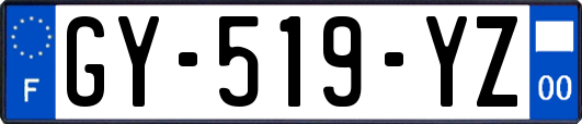GY-519-YZ