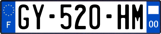 GY-520-HM