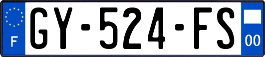 GY-524-FS