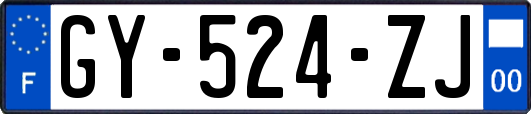 GY-524-ZJ