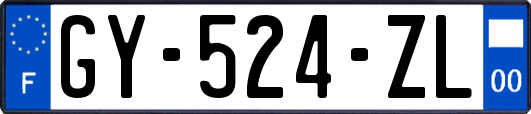 GY-524-ZL