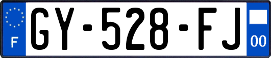 GY-528-FJ