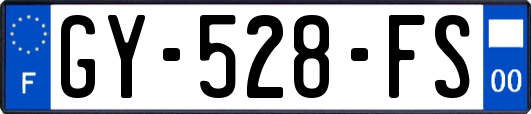 GY-528-FS