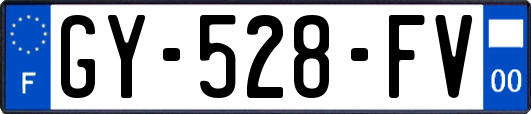 GY-528-FV