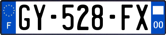 GY-528-FX