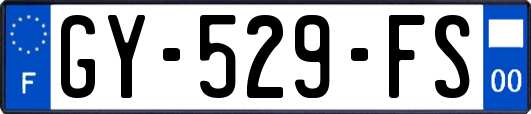 GY-529-FS