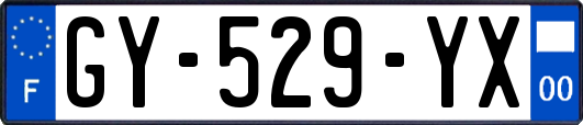 GY-529-YX