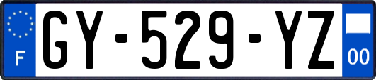 GY-529-YZ