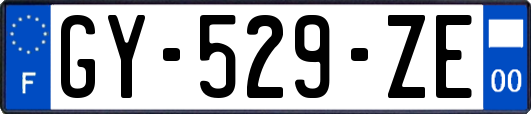 GY-529-ZE