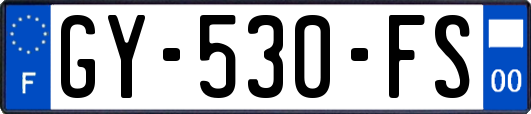 GY-530-FS