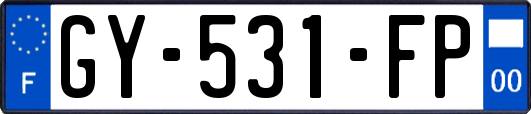 GY-531-FP