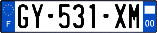 GY-531-XM