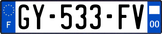 GY-533-FV