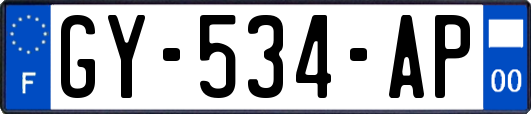 GY-534-AP