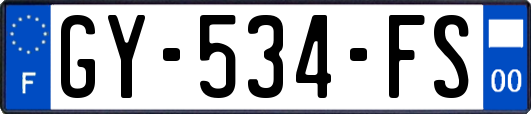 GY-534-FS