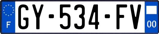GY-534-FV