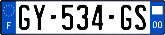GY-534-GS