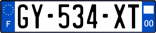 GY-534-XT