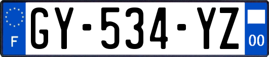 GY-534-YZ