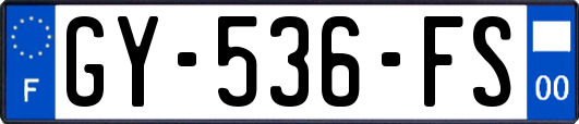 GY-536-FS