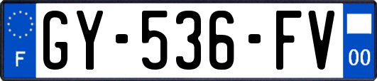 GY-536-FV
