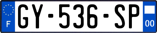 GY-536-SP