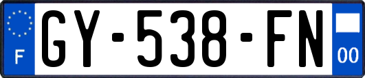 GY-538-FN