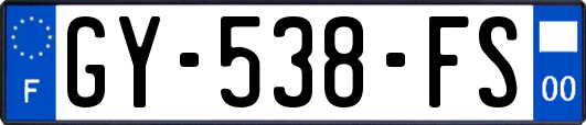 GY-538-FS