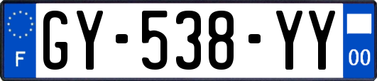 GY-538-YY