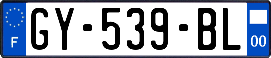 GY-539-BL