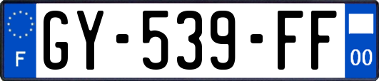 GY-539-FF