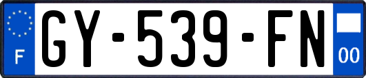 GY-539-FN