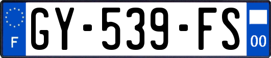 GY-539-FS