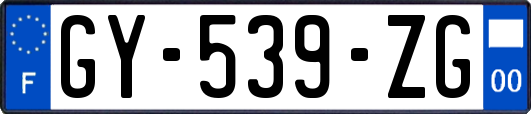 GY-539-ZG