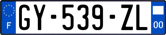 GY-539-ZL
