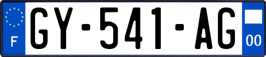 GY-541-AG