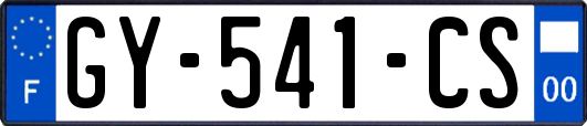GY-541-CS