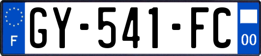 GY-541-FC