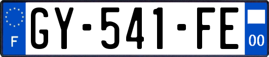 GY-541-FE