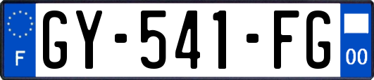 GY-541-FG