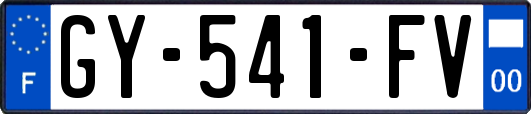GY-541-FV