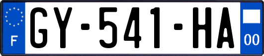 GY-541-HA