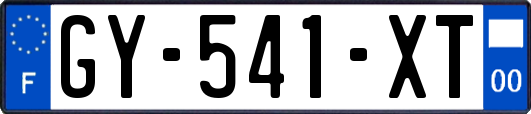 GY-541-XT