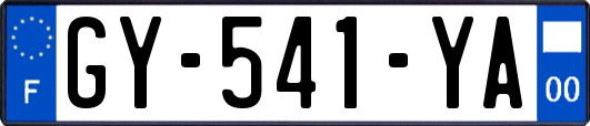 GY-541-YA