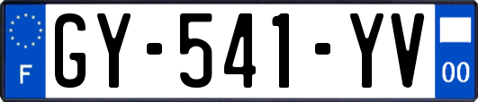 GY-541-YV