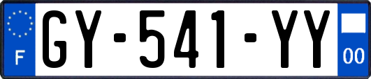 GY-541-YY