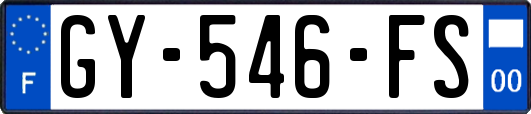 GY-546-FS