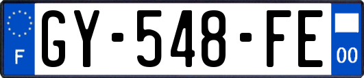GY-548-FE
