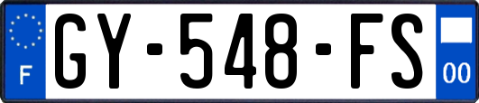 GY-548-FS