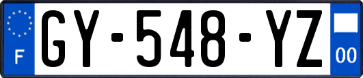 GY-548-YZ